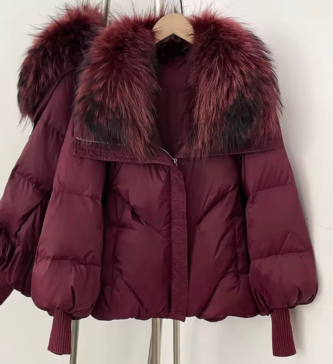Lantern Sleeve Duckdown Sleeve with Raccoon fur